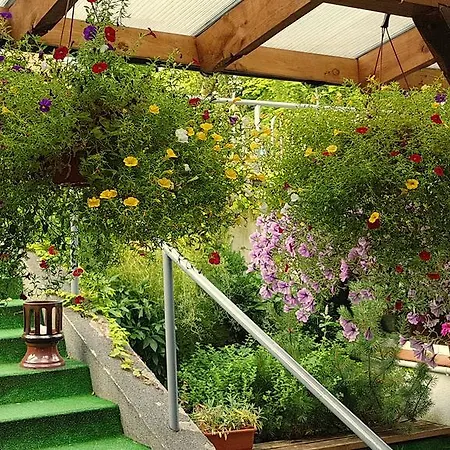 Centrum25 3* Olsztyn (Warmian-Masurian)