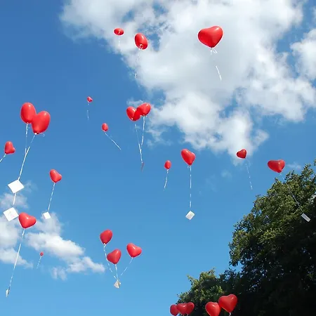 Centrum25 Bed & Breakfast