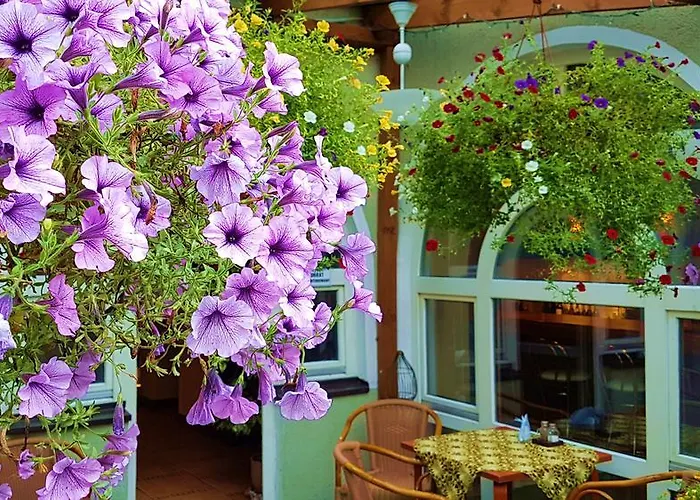 Centrum25 Отель типа 