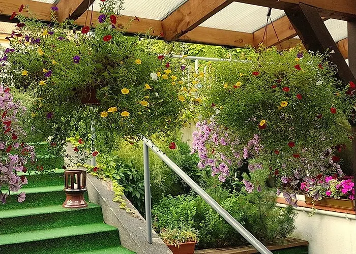 Centrum25 3* Ольштын